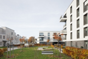 FA251101 4905  bild 295x200