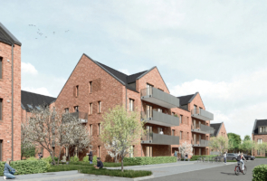 Perspektive 2 295x200